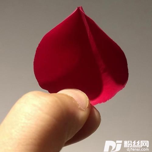 等不及要对你说cover:游鸿明