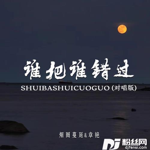 谁把谁错过对唱版的专辑