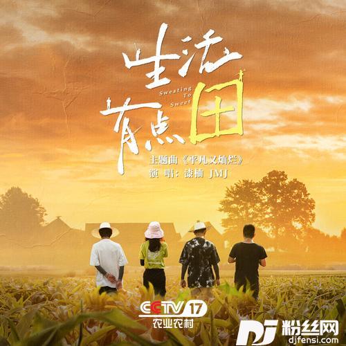 平凡又灿烂