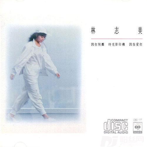 发热体的专辑