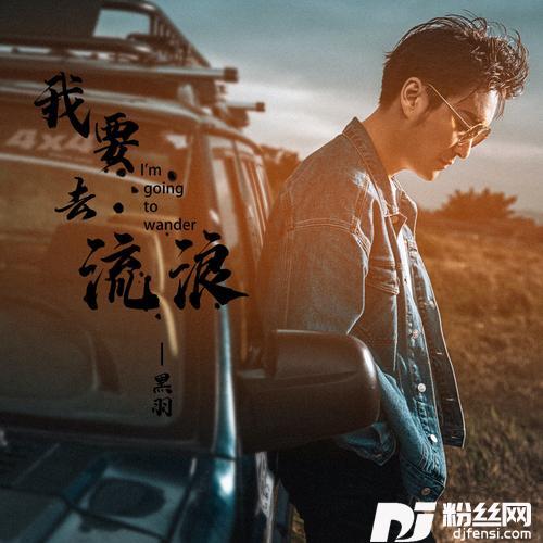 我要去流浪的专辑