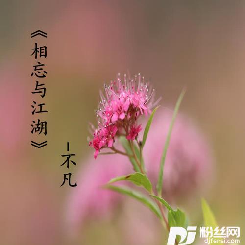 相忘于江湖的专辑