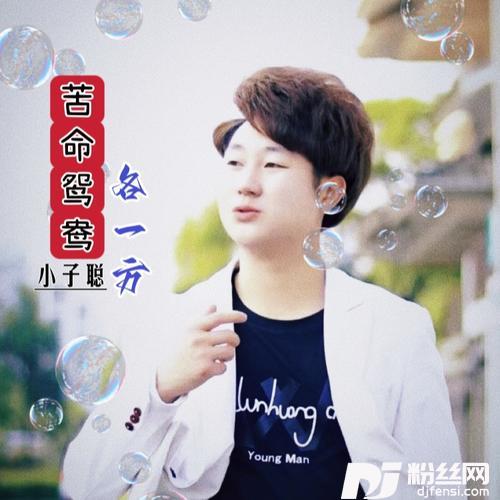 苦命鸳鸯各一方