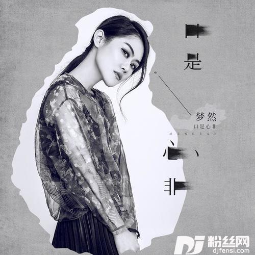 口是心非DJ沈念版