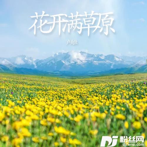 花开满草原