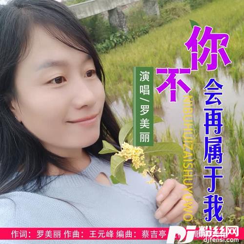 你不会再属于我的专辑