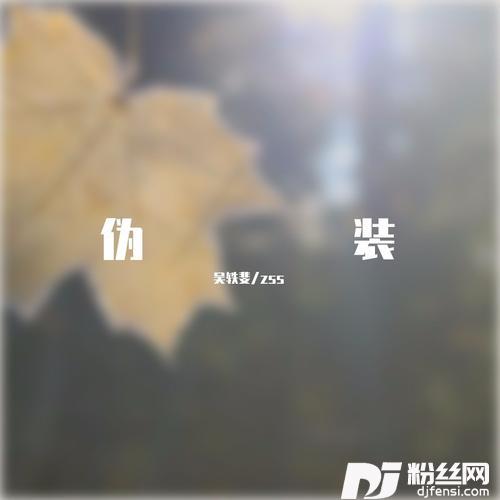 伪装