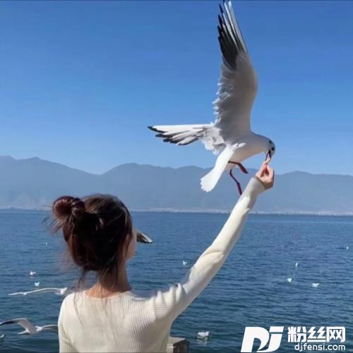 情徒cover:米灵的专辑