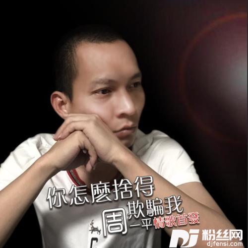 你怎么舍得欺骗我的专辑