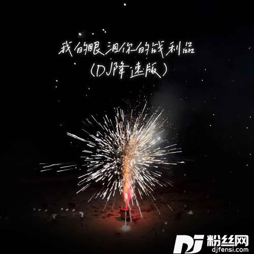 我的眼泪你的战利品DJ降速版