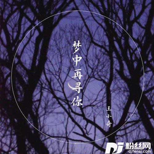 梦中再寻你