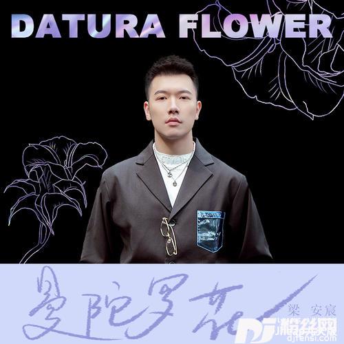 曼陀罗花DJheap九天版