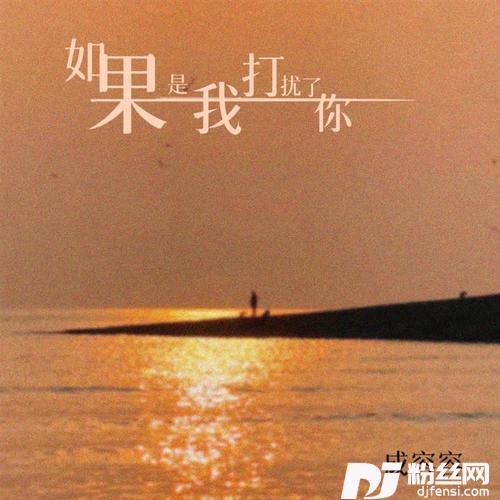 如果是我打扰了你DJ版