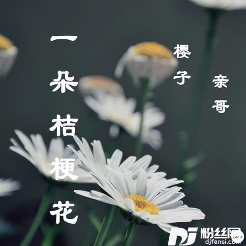 一朵桔梗花