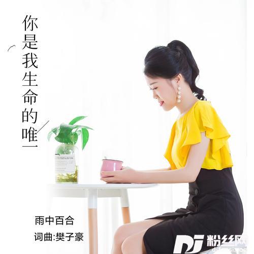 你是我生命的唯一（DJ默涵版）