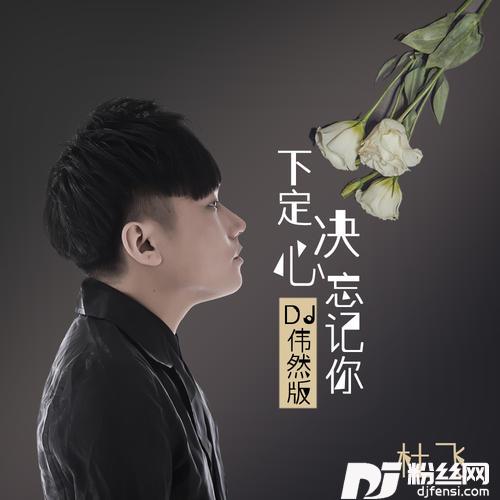下定决心忘记你DJ伟然版