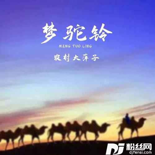 梦驼铃的专辑