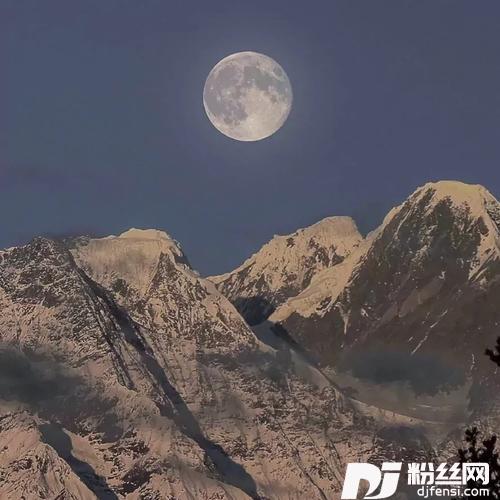 白月光与朱砂痣热搜女声混剪