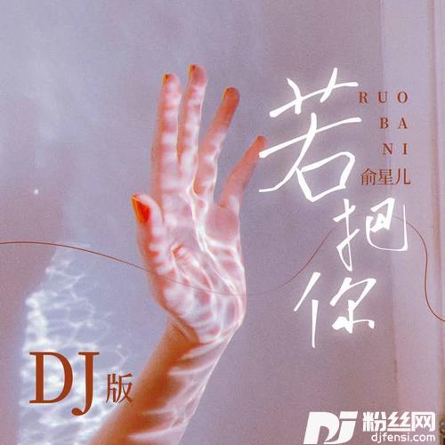 若把你DJ版