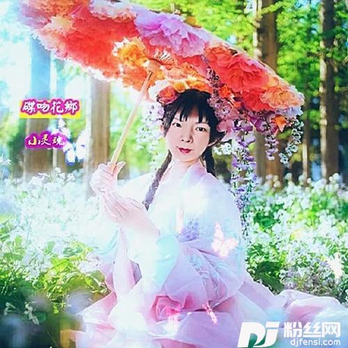 蝶吻花乡
