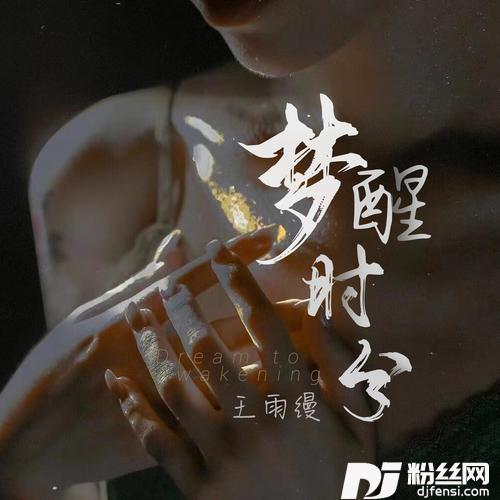 梦醒时分DJ京仔版