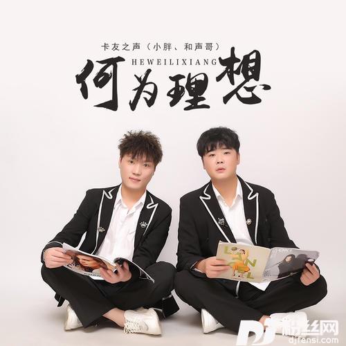 何为理想的专辑