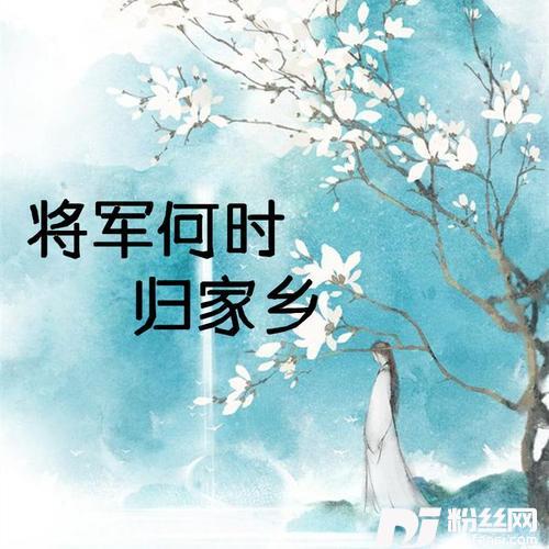 将军何时归家乡戏腔版