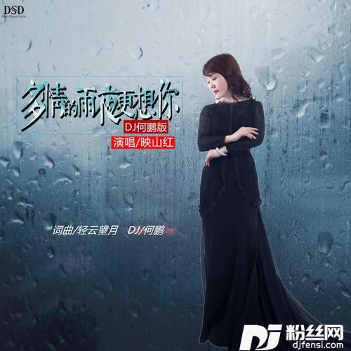 多情的雨夜更想你DJ何鹏Remix