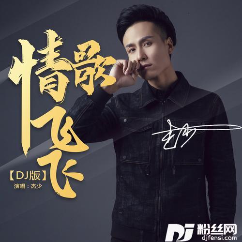 情歌飞飞-DJ版的专辑