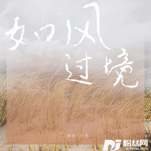 如风过境