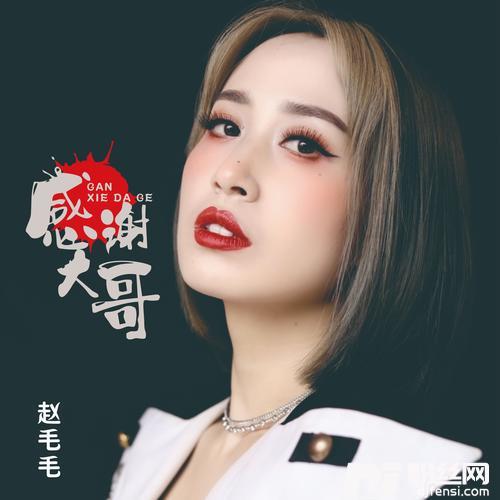 感谢大哥