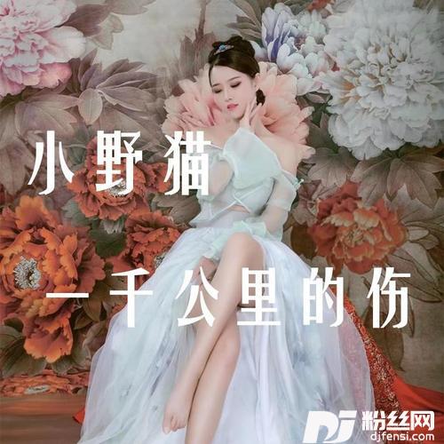 一千公里的伤的专辑