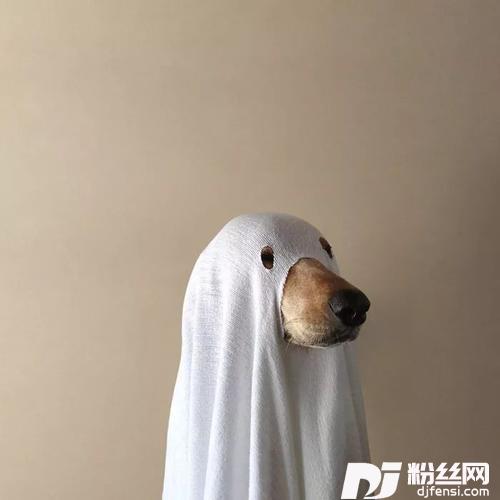 陌生人