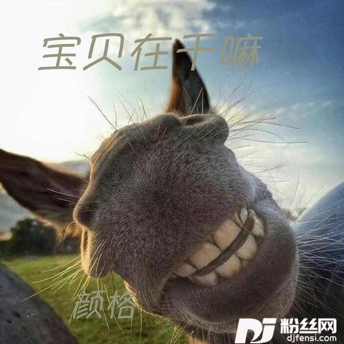 宝贝在干嘛的专辑