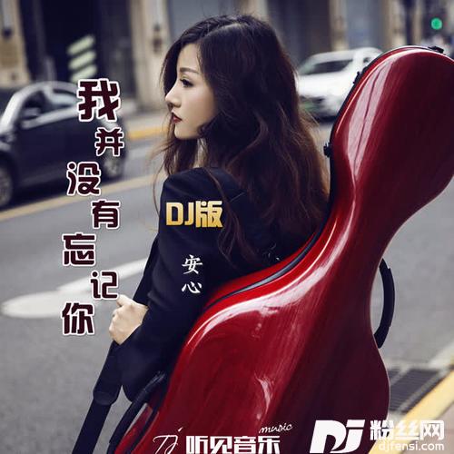 我并没有忘记你DJ版