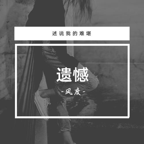 遗憾的专辑