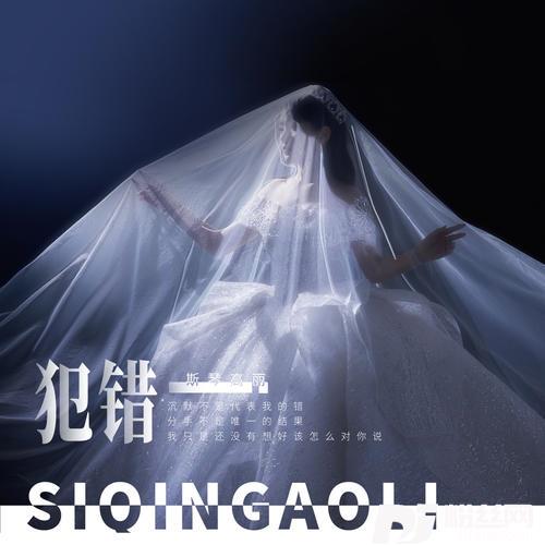 犯错纪念版