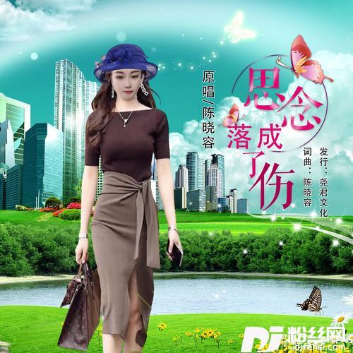 思念落成了伤（DJ版）