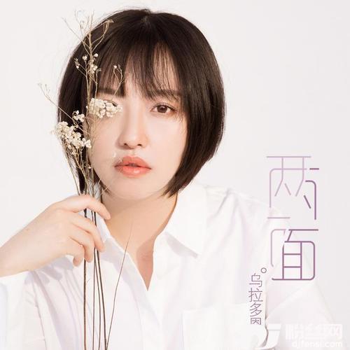 两面