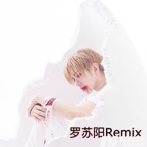 不该用情越鼓版remix:罗苏阳