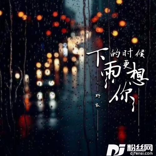 下雨的时候更想你DJ德朋版