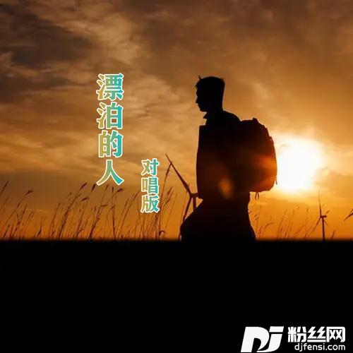 漂泊的人的专辑