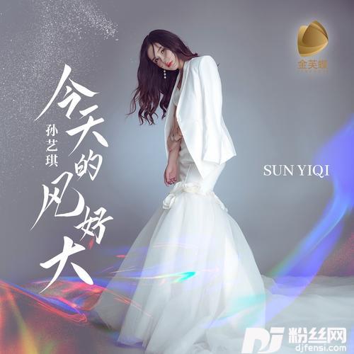 今天的风好大DJ默涵版