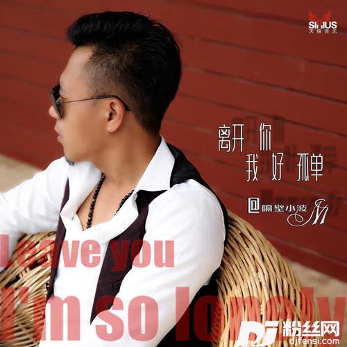 离开你我好孤单