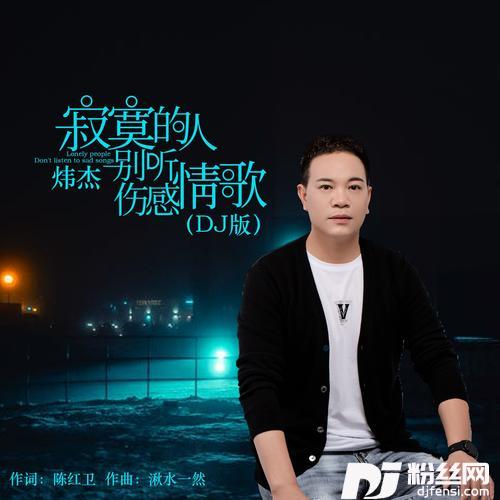 寂寞的人别听伤感情歌DJ何鹏版