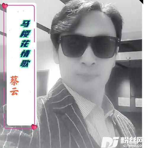 马樱花情歌DJ何鹏版的专辑