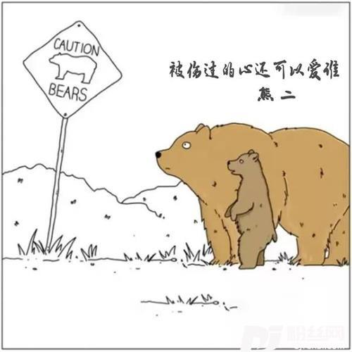 被伤过的心还可以爱谁