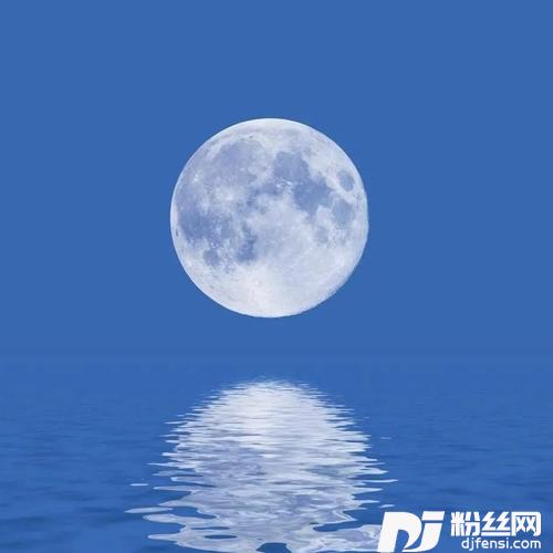 登黄鹤楼有感.满江红