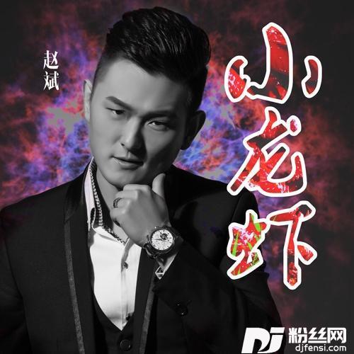 小龙虾DJ加快版
