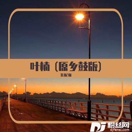 心上人叶楠DJ版